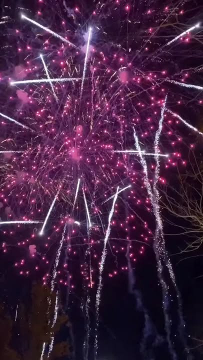 ️️ Le President le conseil dAdministration et toute lequipe salariee 1 122279980838236815 - Quimper Finistère ️️ Le President le conseil dAdministration et toute lequipe salariee 1 122279980838236815 - Quimper Finistère